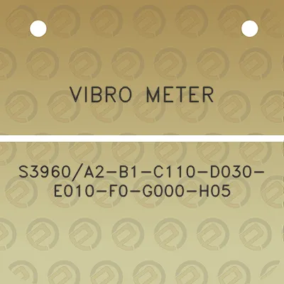 vibro-meter-s3960a2-b1-c110-d030-e010-f0-g000-h05