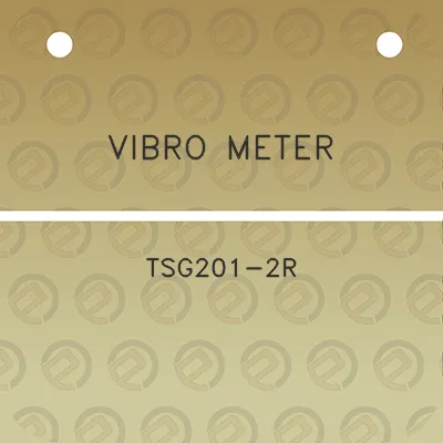 vibro-meter-tsg201-2r