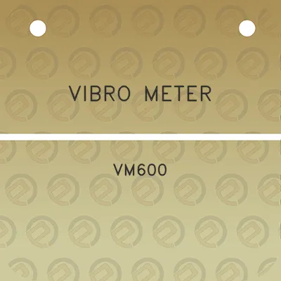 vibro-meter-vm600