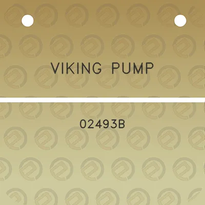 viking-pump-02493b