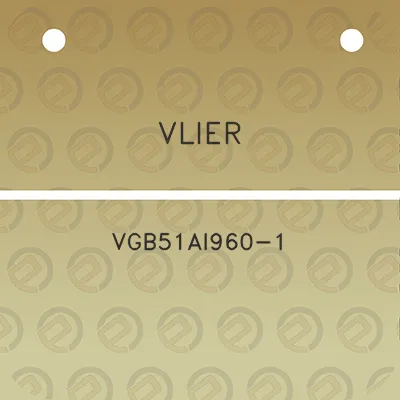 vlier-vgb51ai960-1