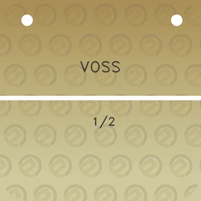 voss-01022023