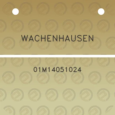 wachenhausen-01m14051024