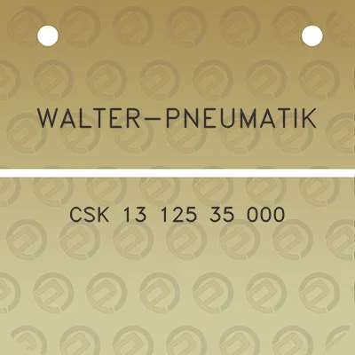 walter-pneumatik-csk-13-125-35-000