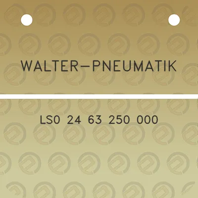 walter-pneumatik-ls0-24-63-250-000