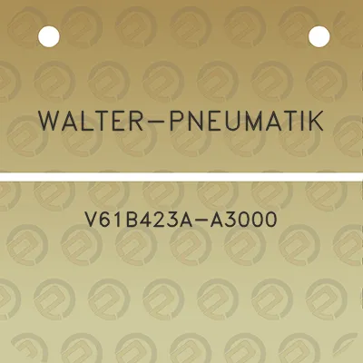 walter-pneumatik-v61b423a-a3000