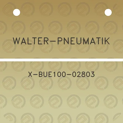 walter-pneumatik-x-bue100-02803