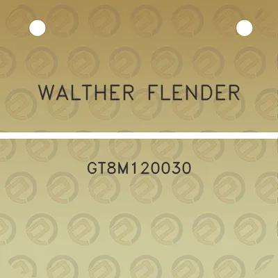 walther-flender-gt8m120030