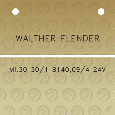 walther-flender-mi30-301-b140094-24v