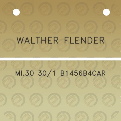 walther-flender-mi30-301-b1456b4car