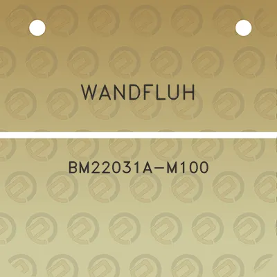 wandfluh-bm22031a-m100