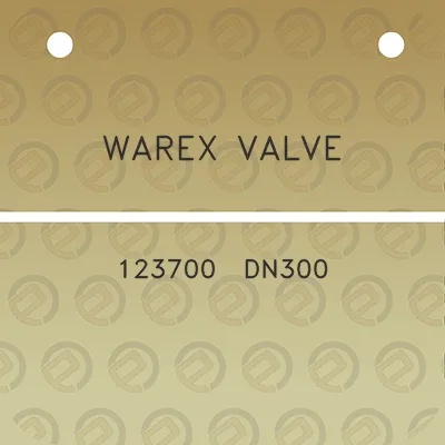 warex-valve-123700-dn300