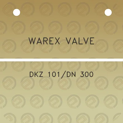 warex-valve-dkz-101dn-300