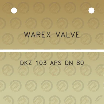 warex-valve-dkz-103-aps-dn-80