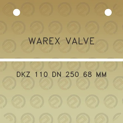 warex-valve-dkz-110-dn-250-68-mm