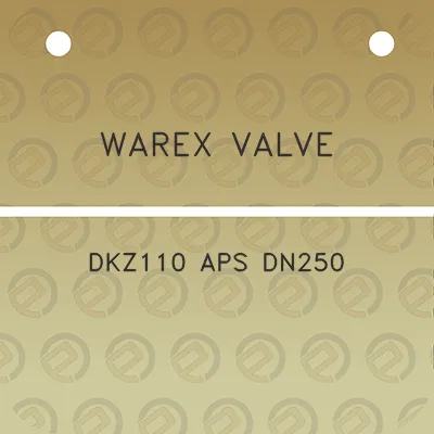 warex-valve-dkz110-aps-dn250