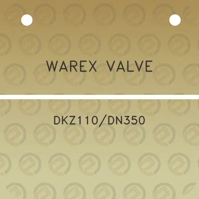 warex-valve-dkz110dn350