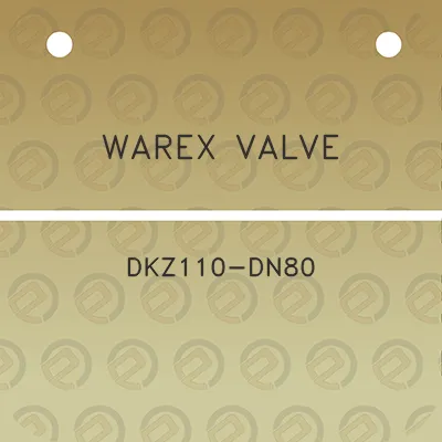 warex-valve-dkz110-dn80