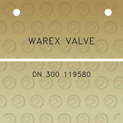 warex-valve-dn-300-119580