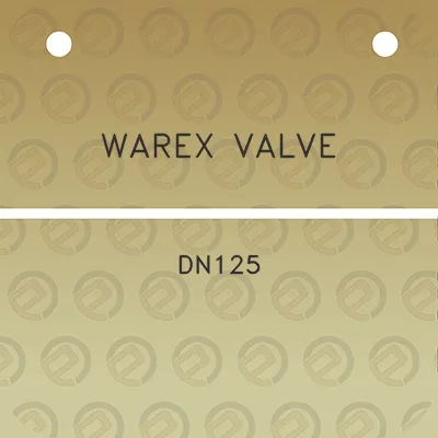 warex-valve-dn125