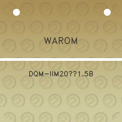 warom-dqm-iim2015b