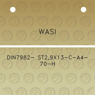 wasi-din7982-st29x13-c-a4-70-h