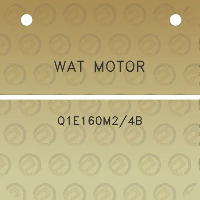 wat-motor-q1e160m24b