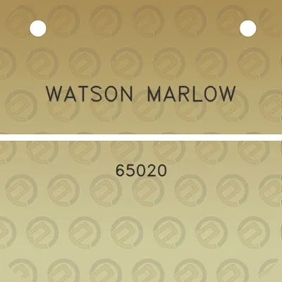 watson-marlow-65020