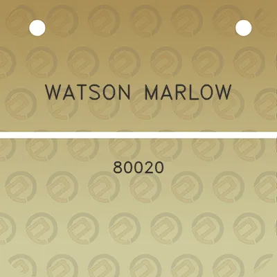 watson-marlow-80020