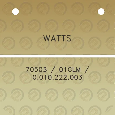 watts-70503-01glm-0010222003