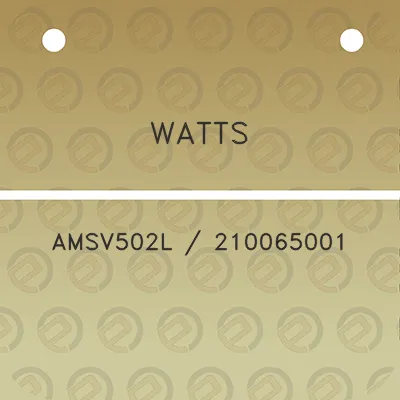 watts-amsv502l-210065001