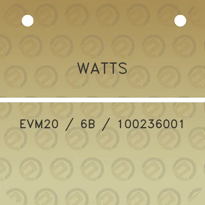 watts-evm20-6b-100236001