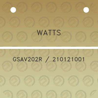 watts-gsav202r-210121001