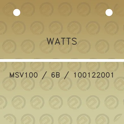 watts-msv100-6b-100122001