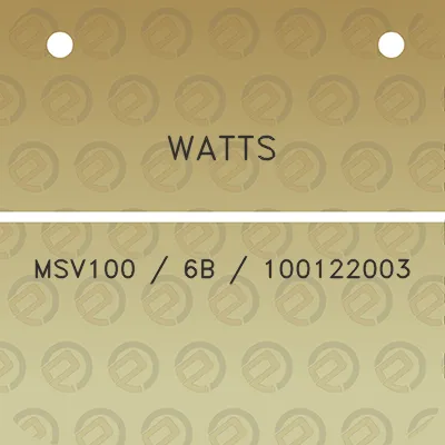 watts-msv100-6b-100122003