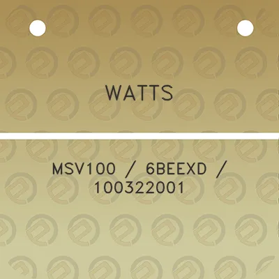 watts-msv100-6beexd-100322001