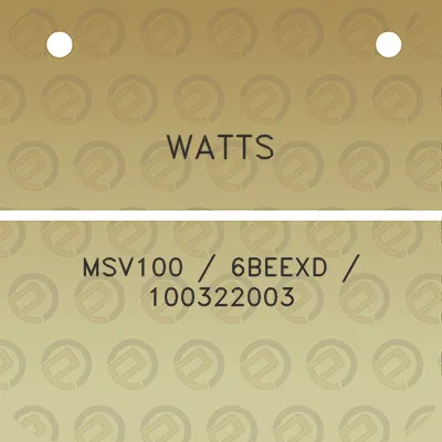 watts-msv100-6beexd-100322003