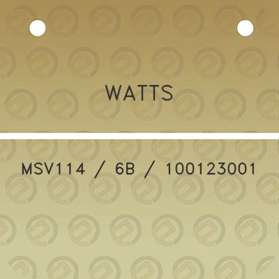 watts-msv114-6b-100123001