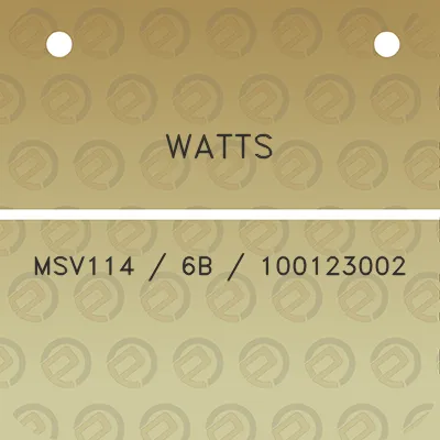 watts-msv114-6b-100123002