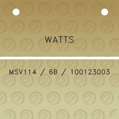 watts-msv114-6b-100123003