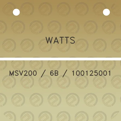 watts-msv200-6b-100125001