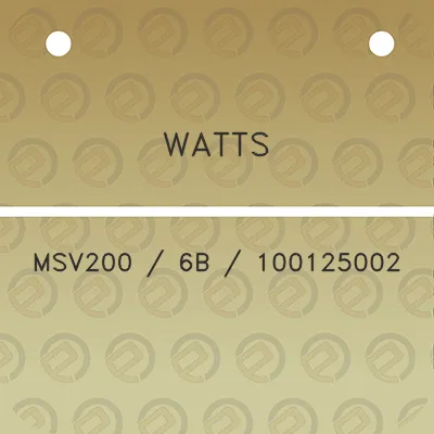 watts-msv200-6b-100125002