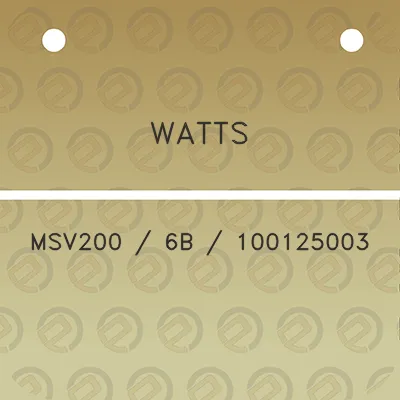 watts-msv200-6b-100125003