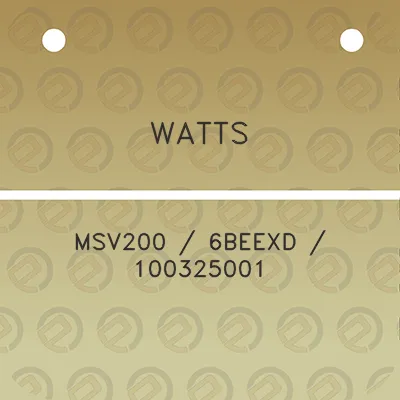 watts-msv200-6beexd-100325001