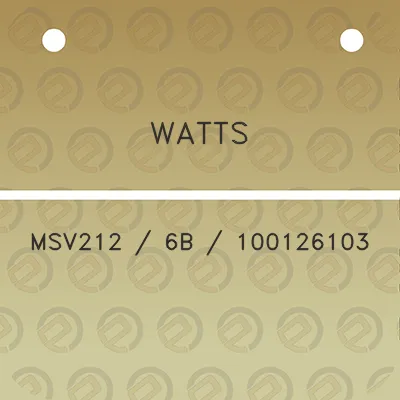 watts-msv212-6b-100126103