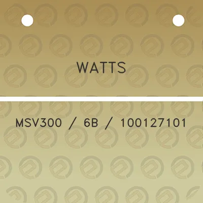 watts-msv300-6b-100127101