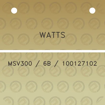 watts-msv300-6b-100127102