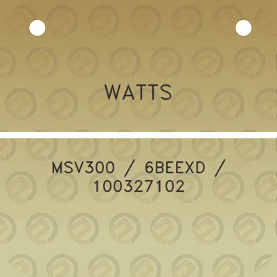 watts-msv300-6beexd-100327102