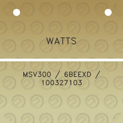 watts-msv300-6beexd-100327103