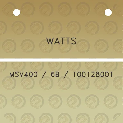 watts-msv400-6b-100128001